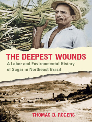 cover image of The Deepest Wounds